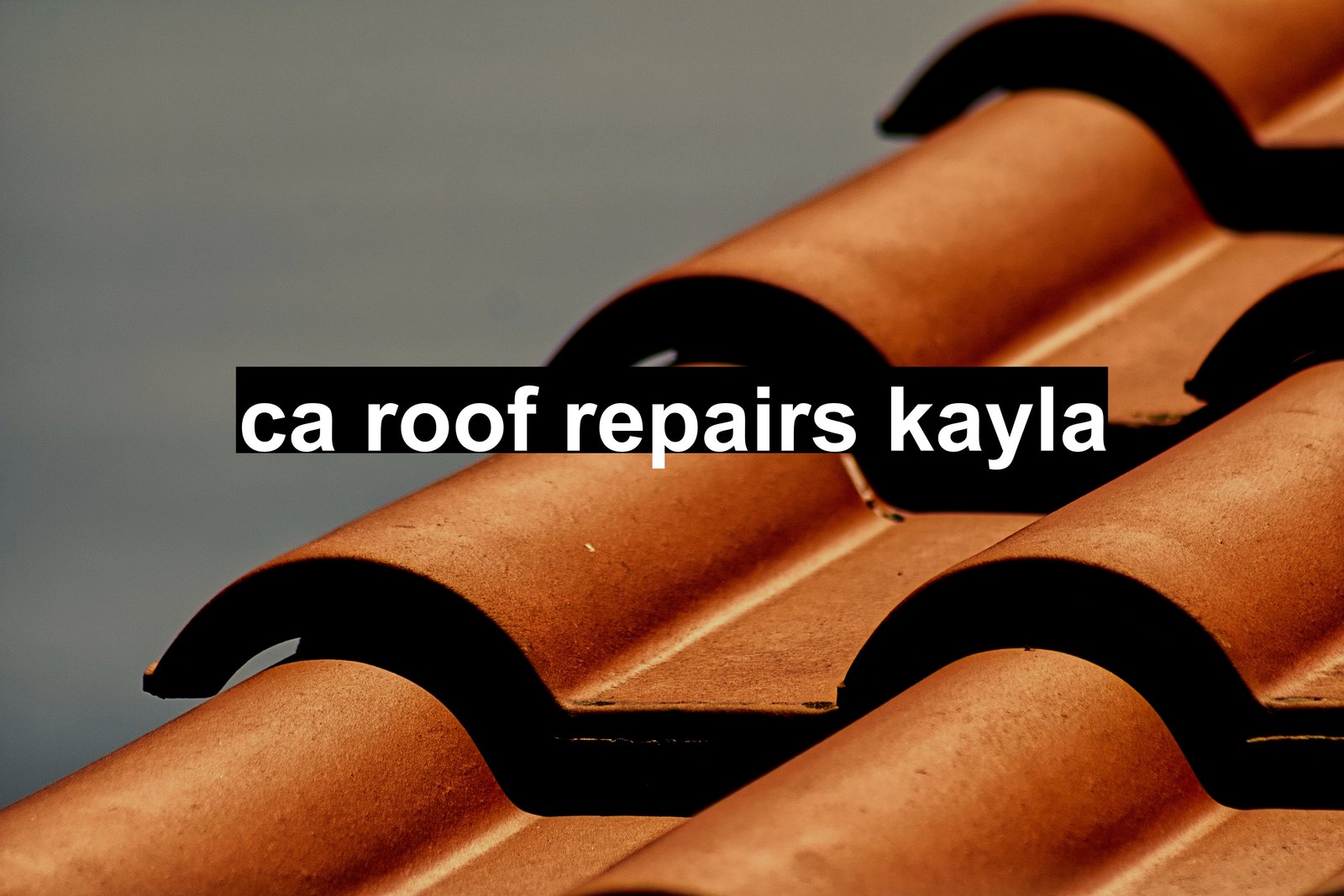 ca roof repairs kayla