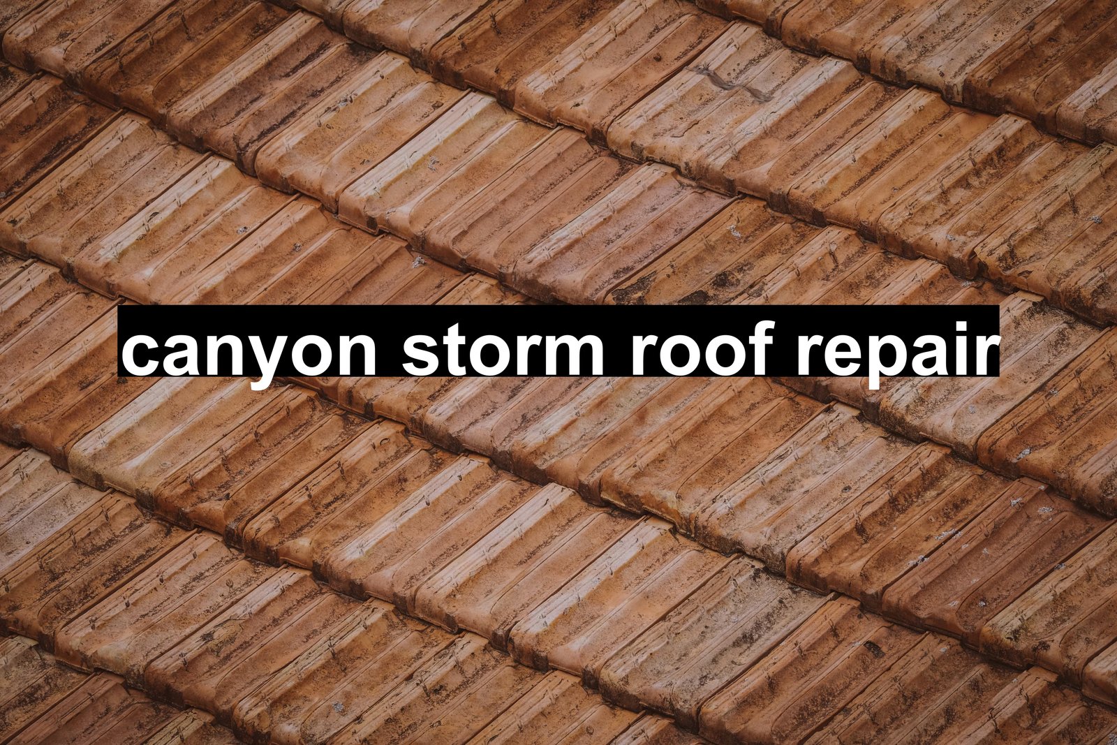 canyon storm roof repair