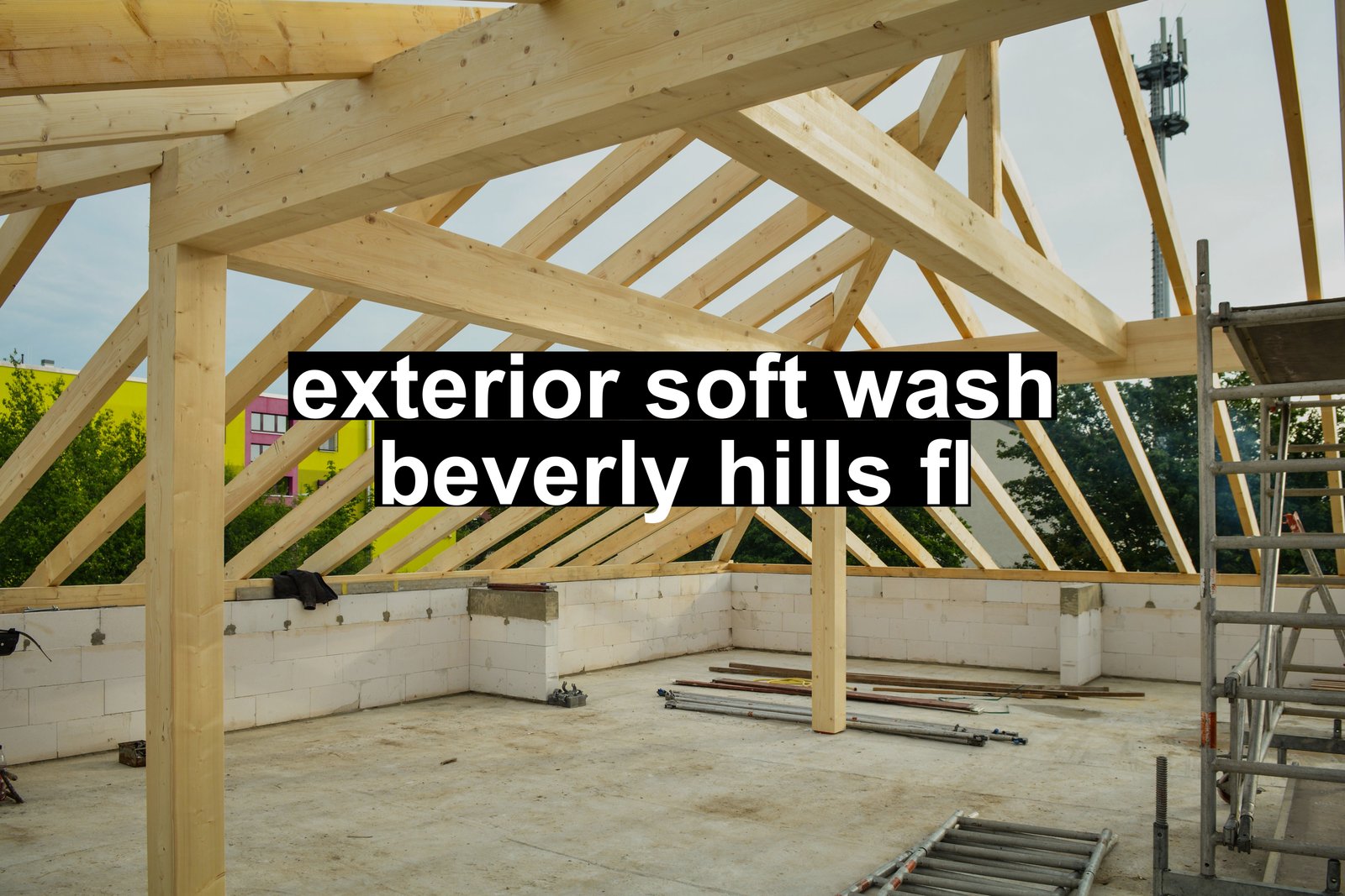 exterior soft wash beverly hills fl