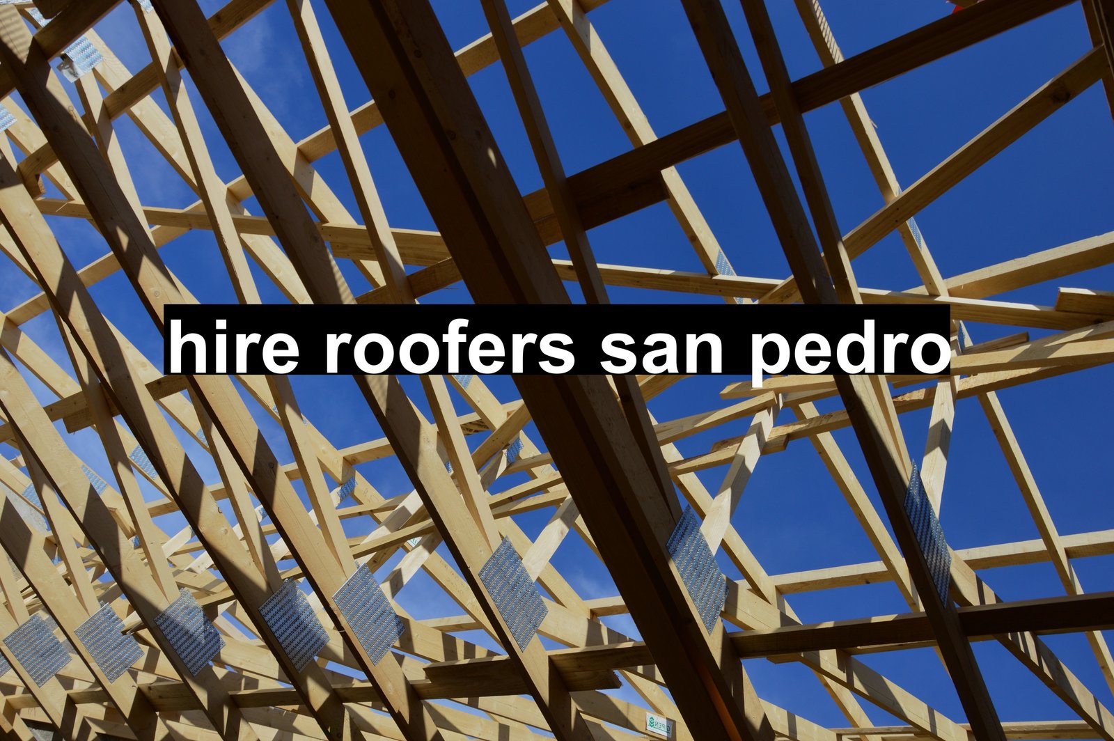 hire roofers san pedro