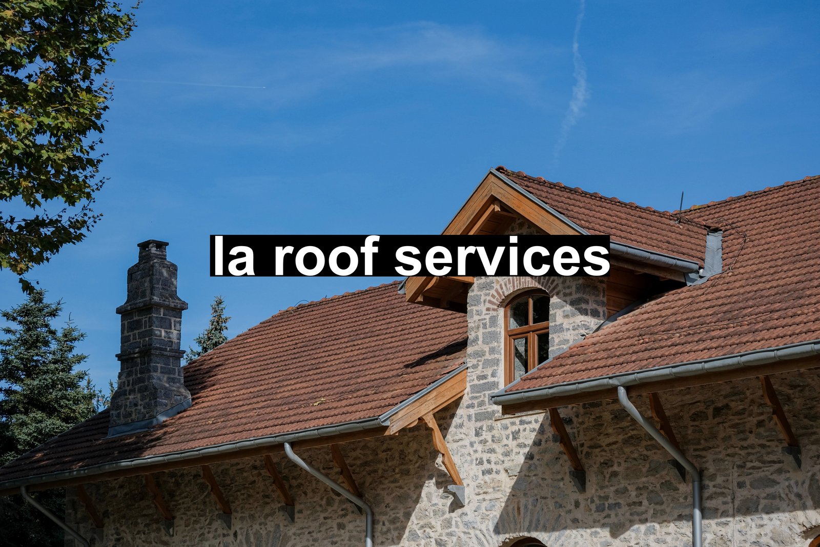 la roof services