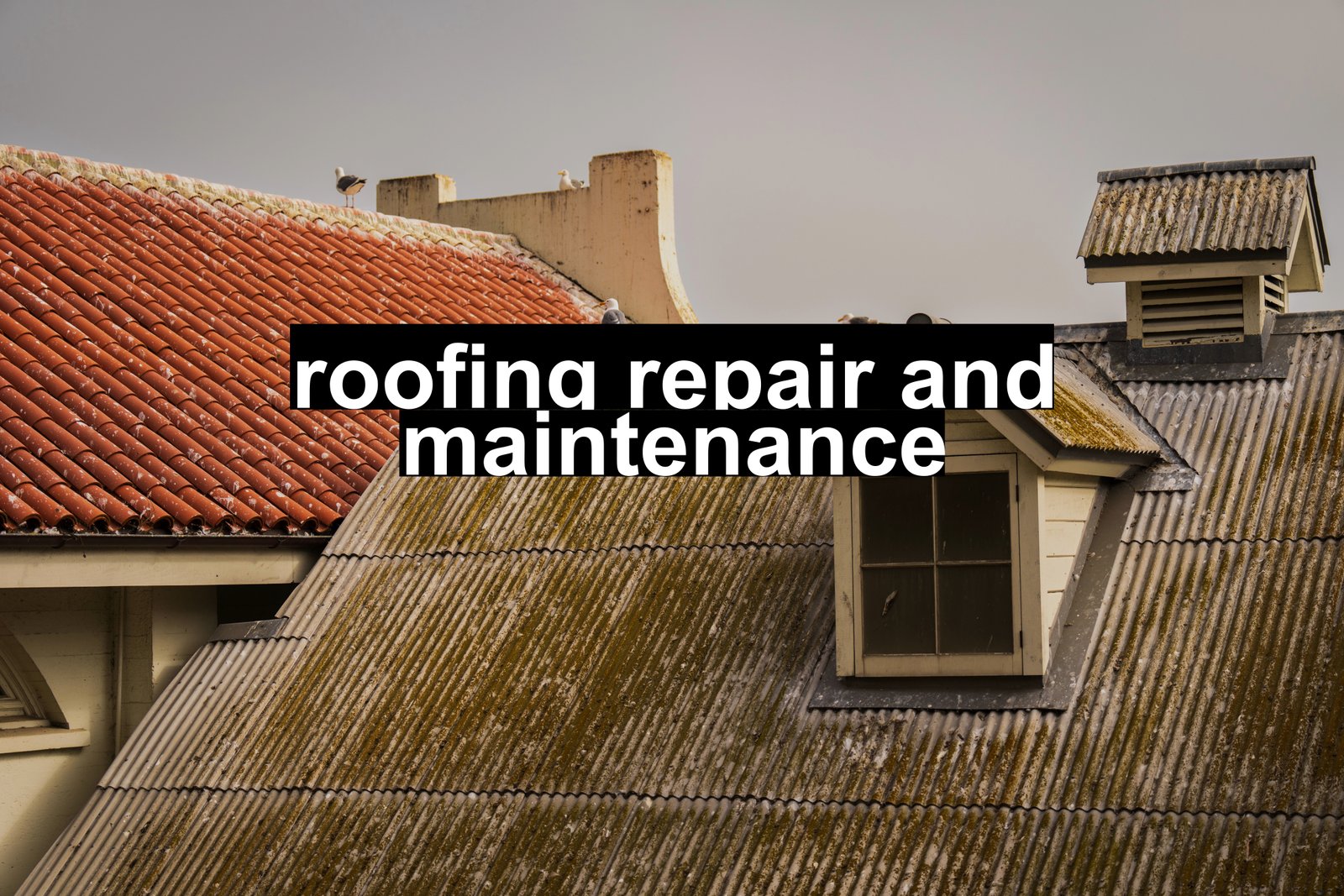 roofing repair and maintenance