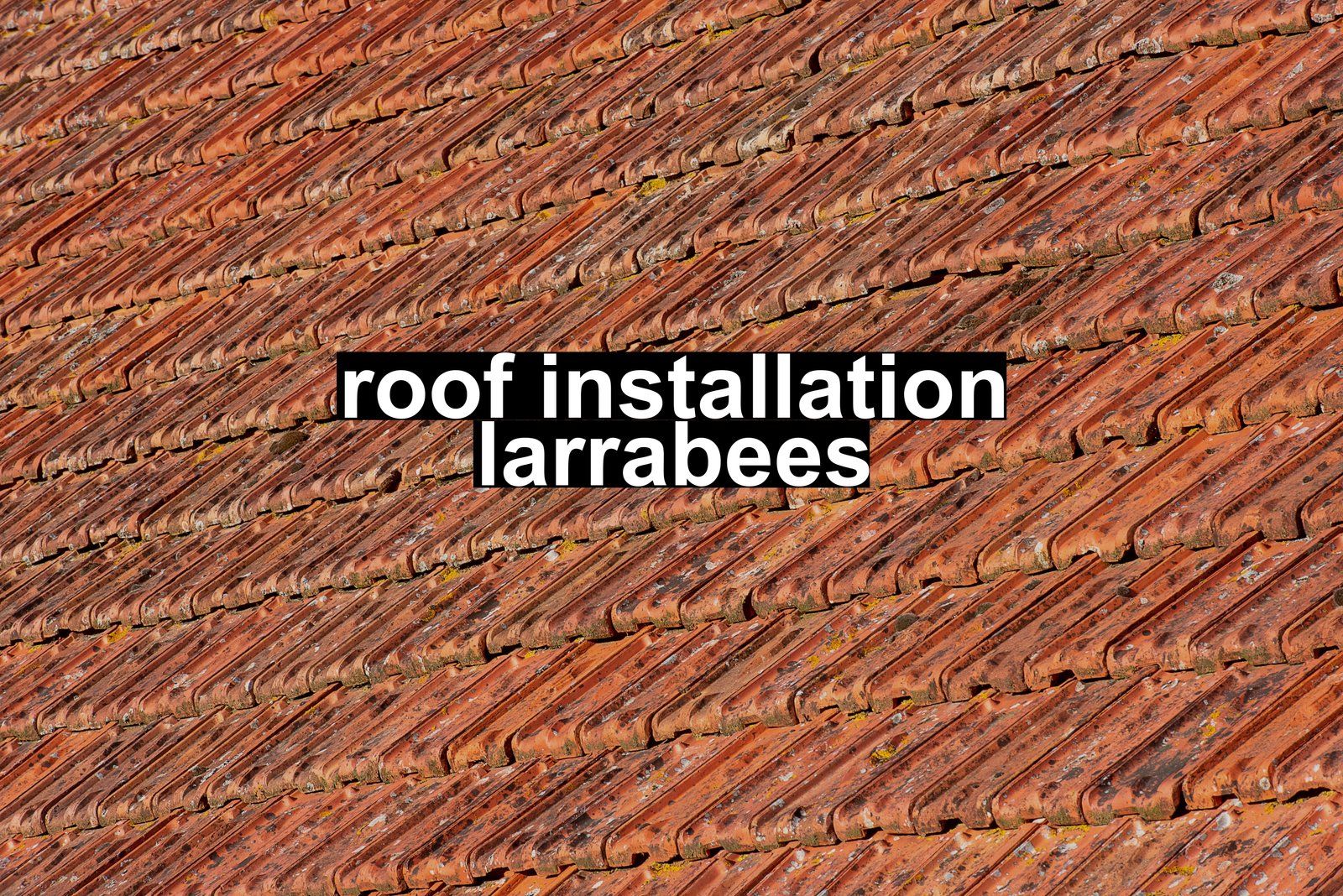 roof installation larrabees