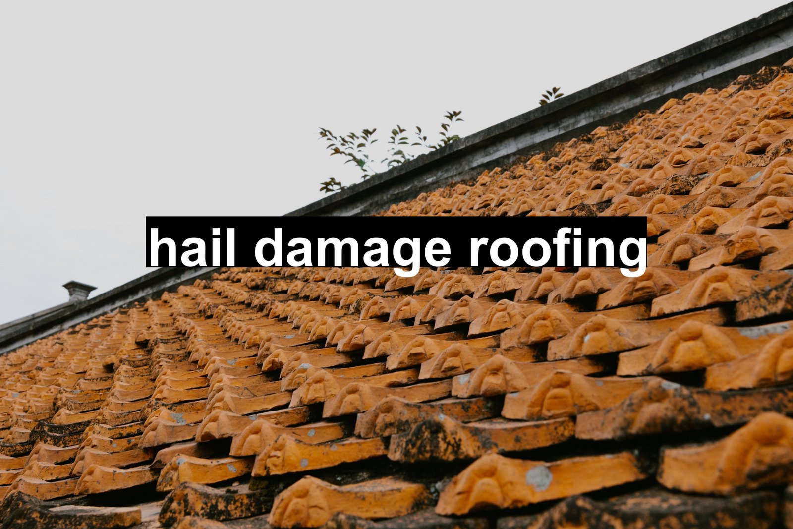 hail damage roofing