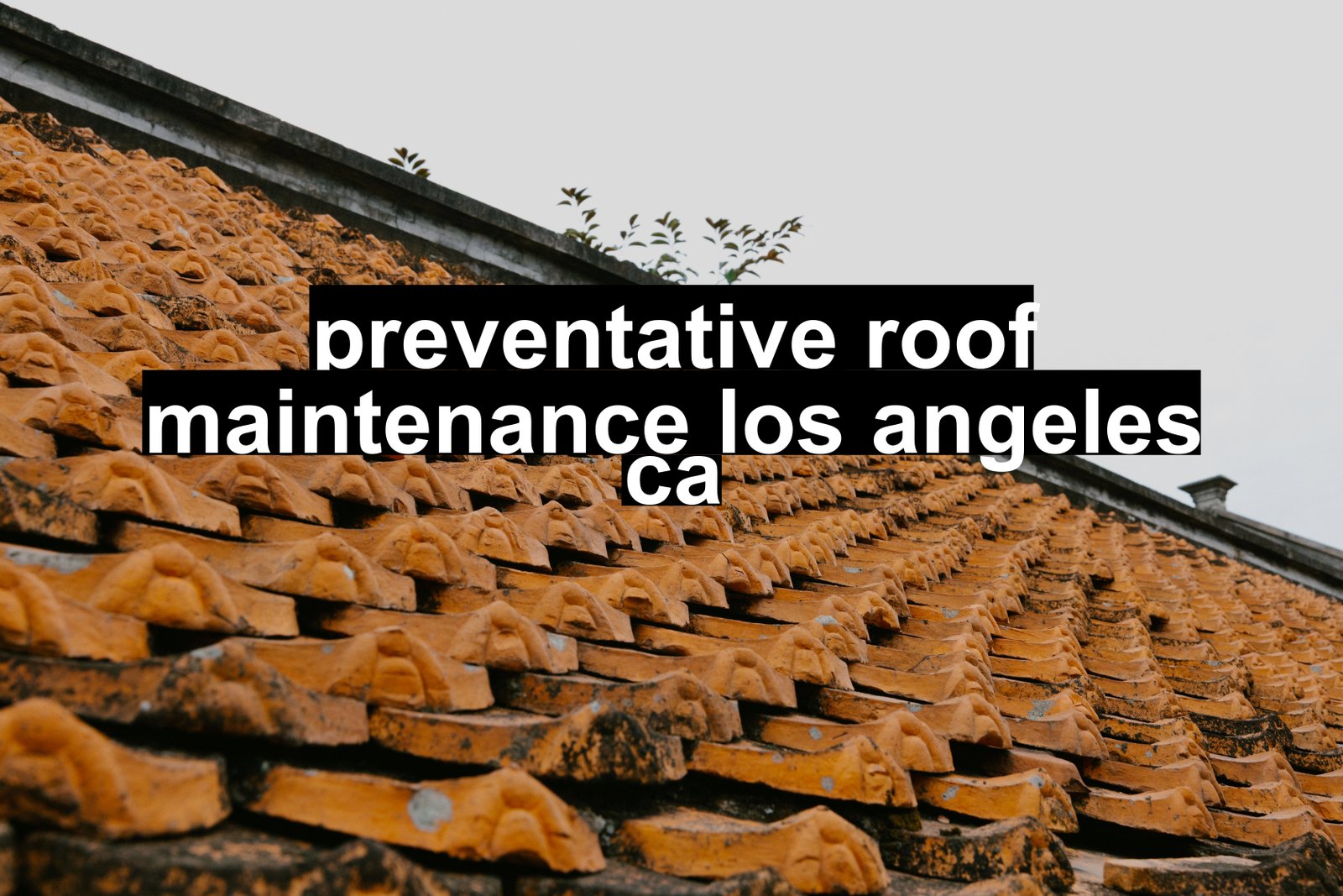 preventative roof maintenance los angeles ca