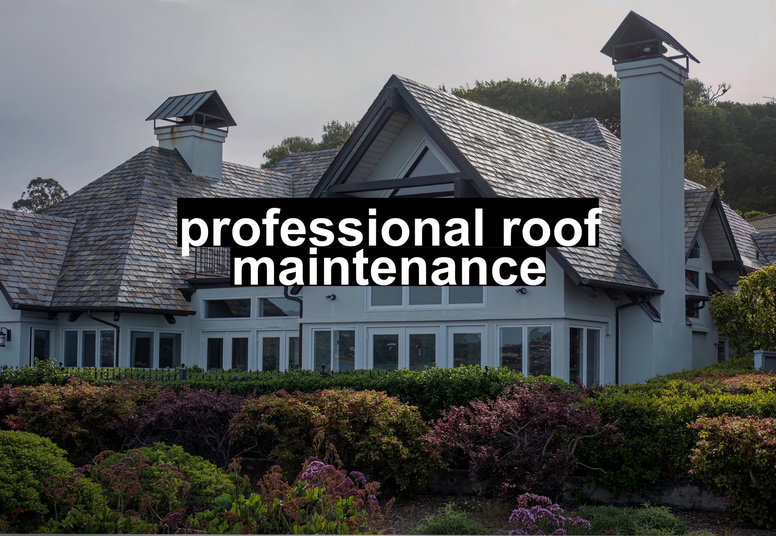 professional roof maintenance