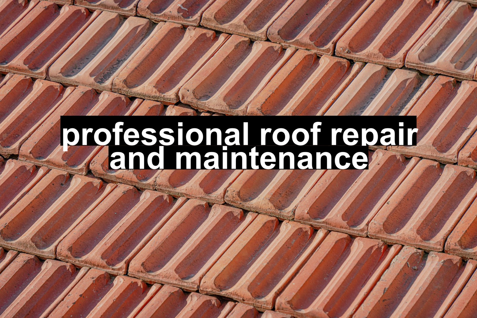professional roof repair and maintenance