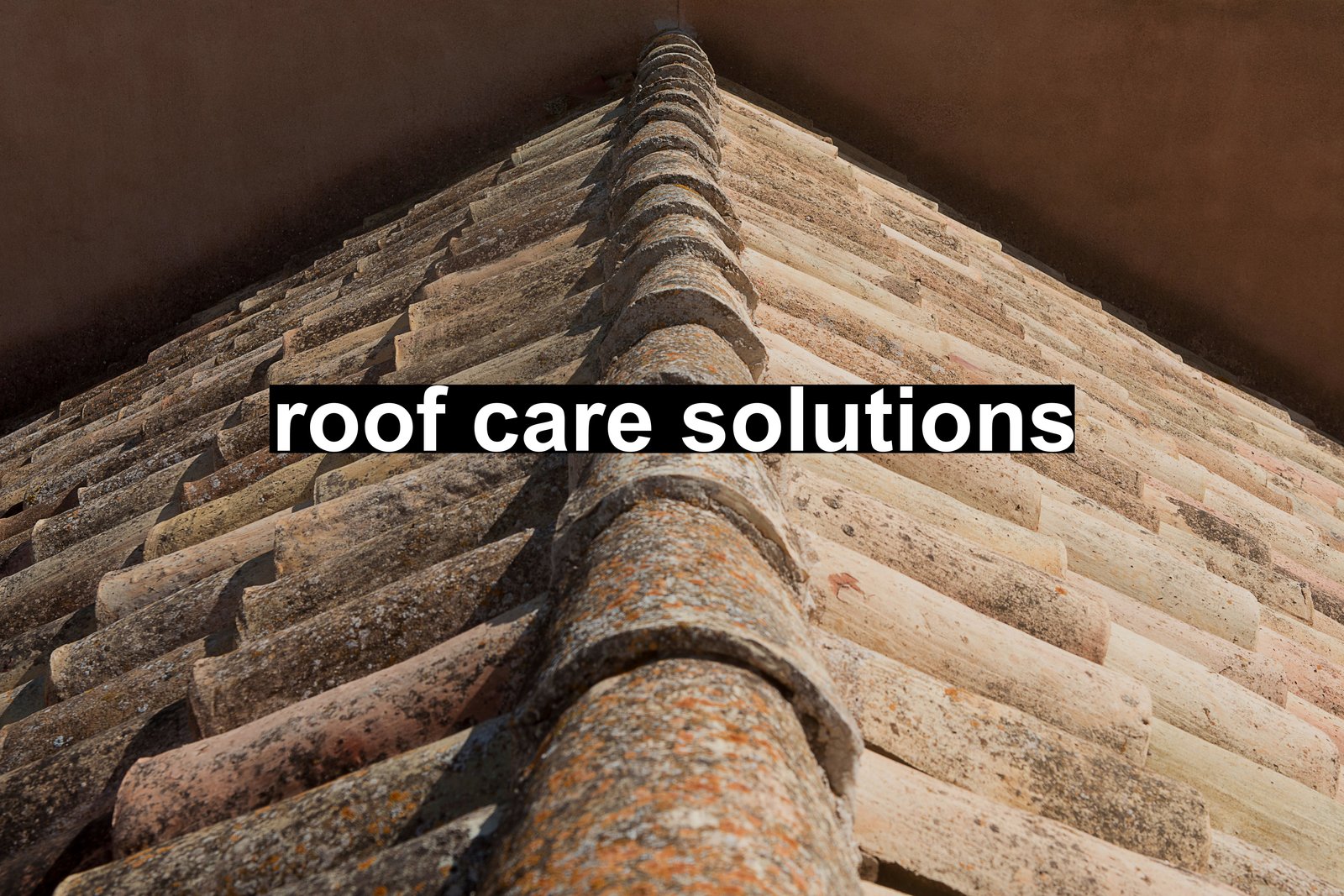 roof care solutions