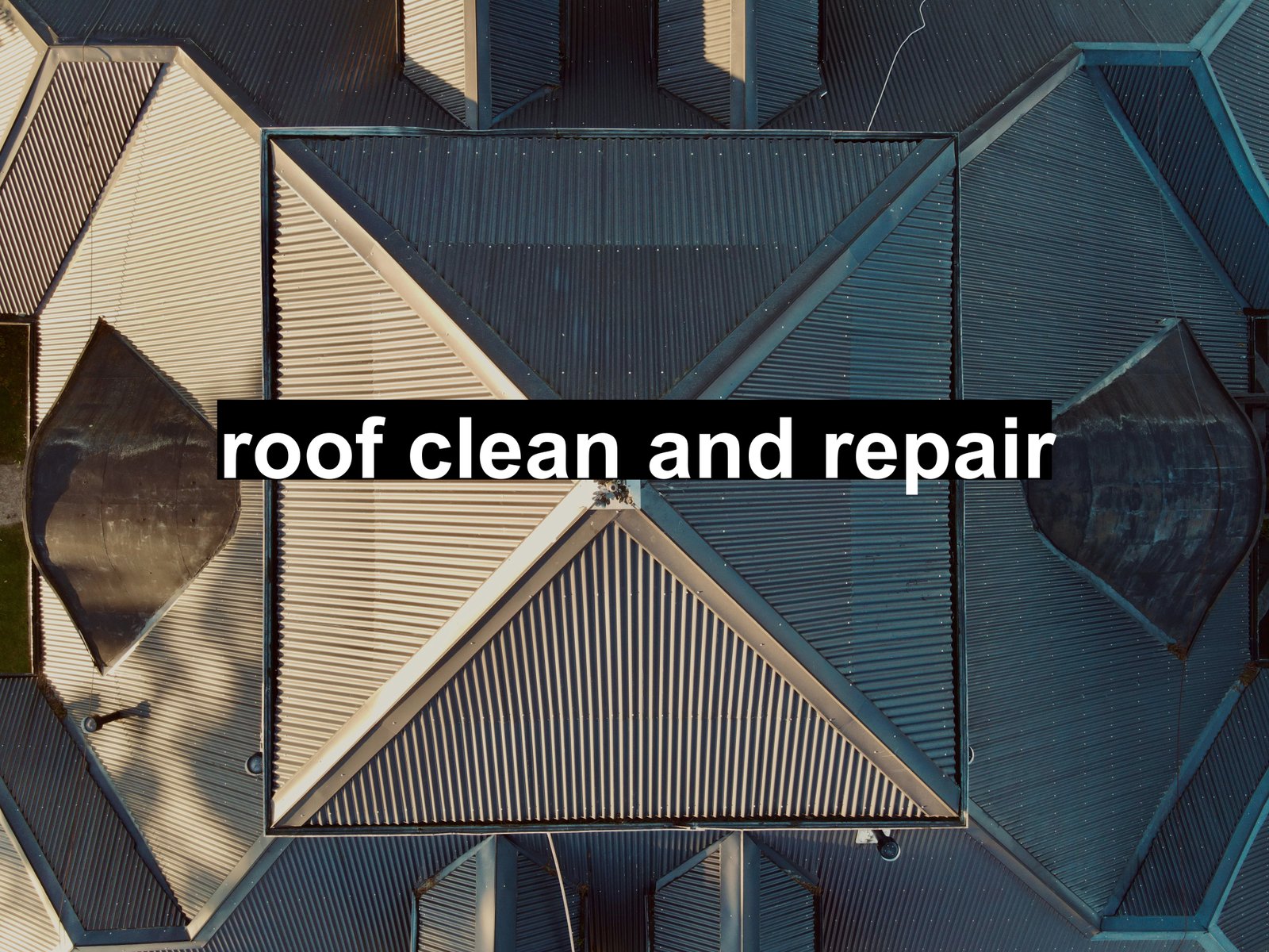 roof clean and repair