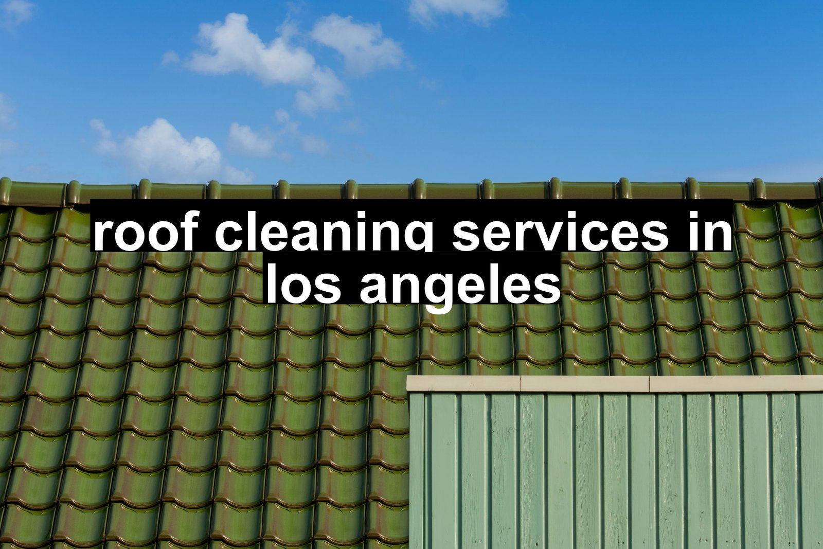 roof cleaning services in los angeles