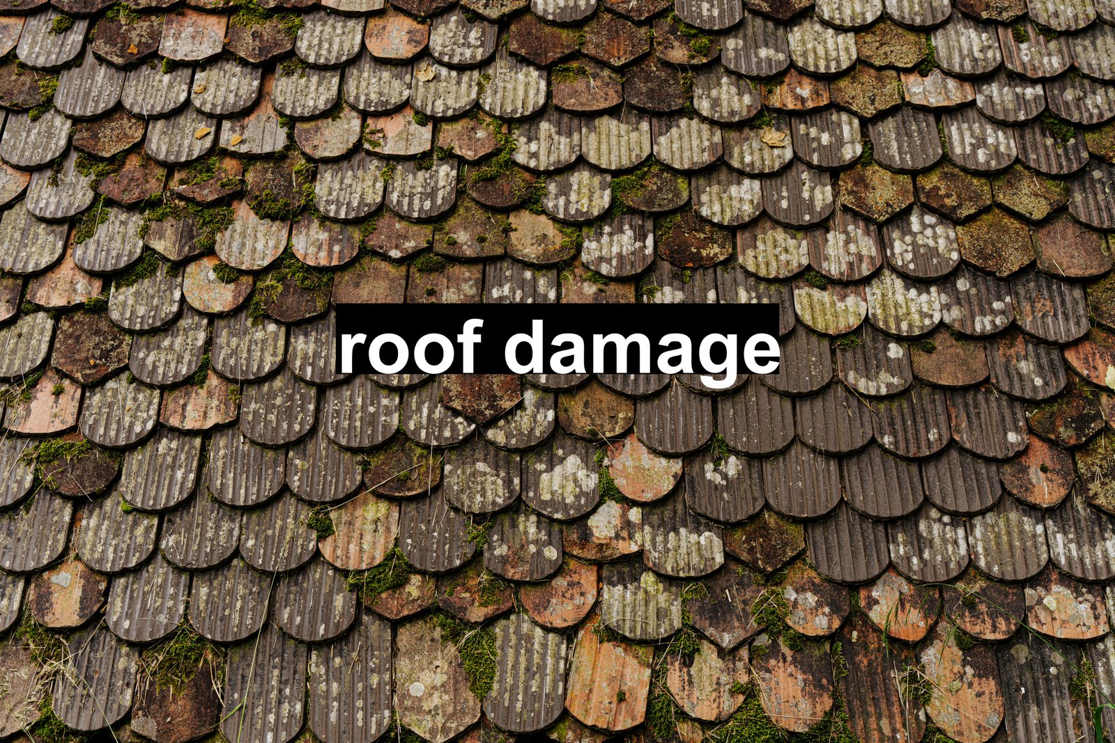 roof damage