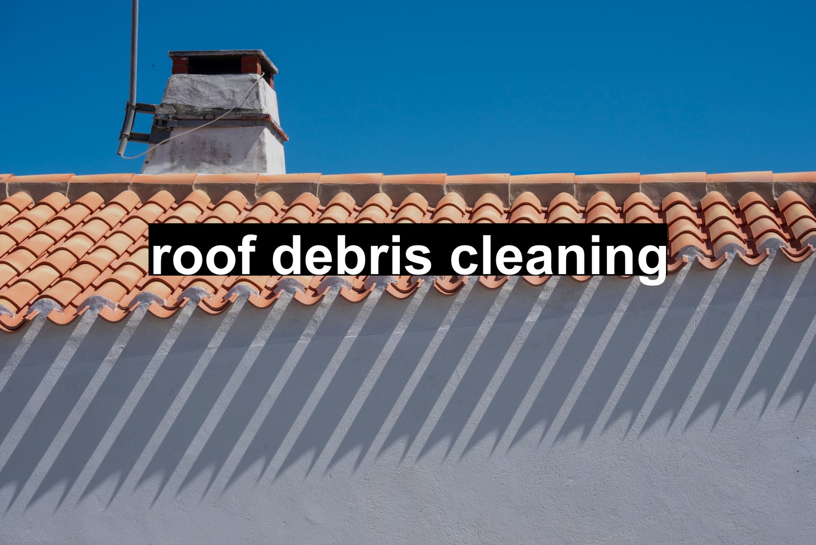 roof debris cleaning