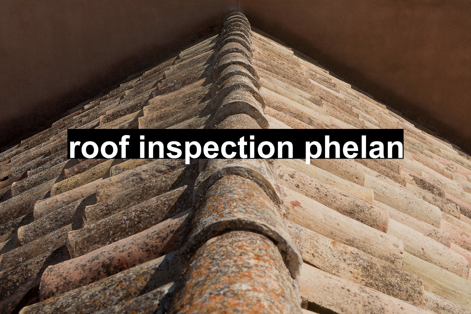 roof inspection phelan