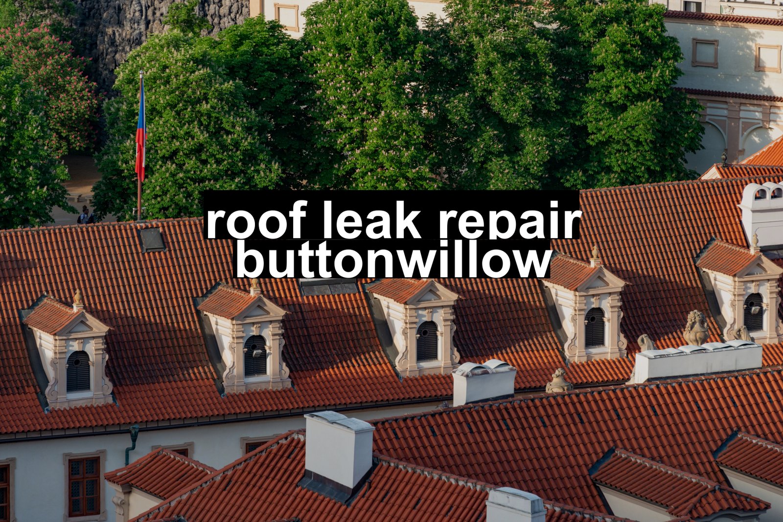 roof leak repair buttonwillow
