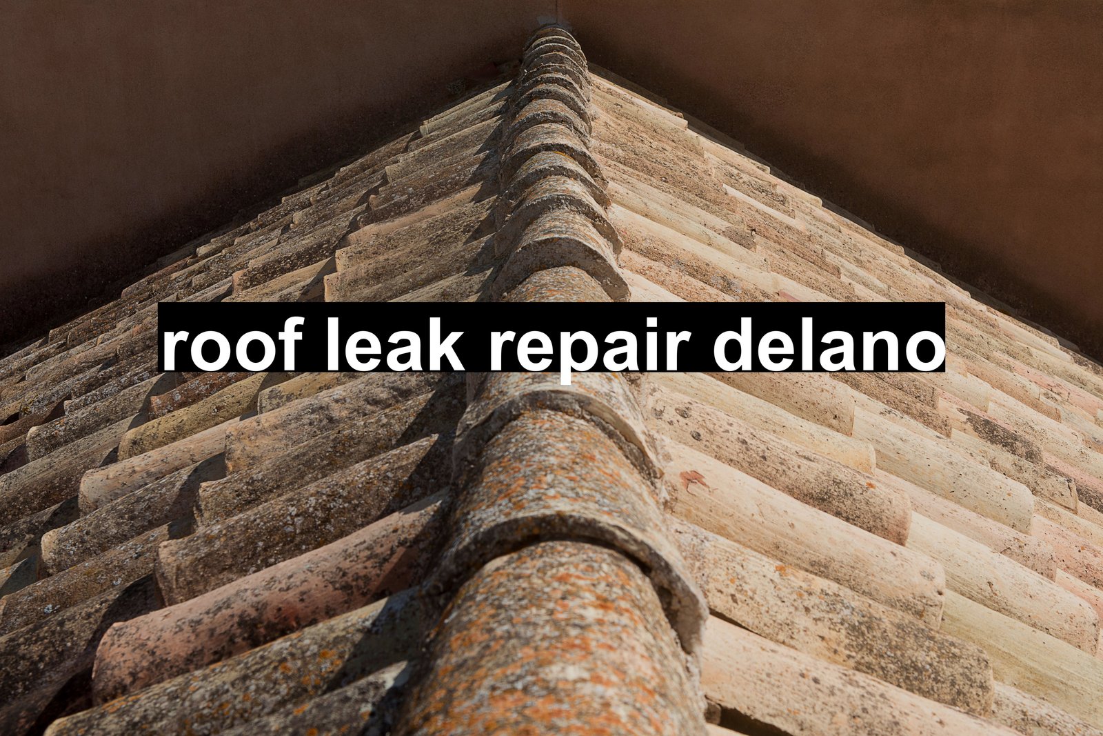 roof leak repair delano