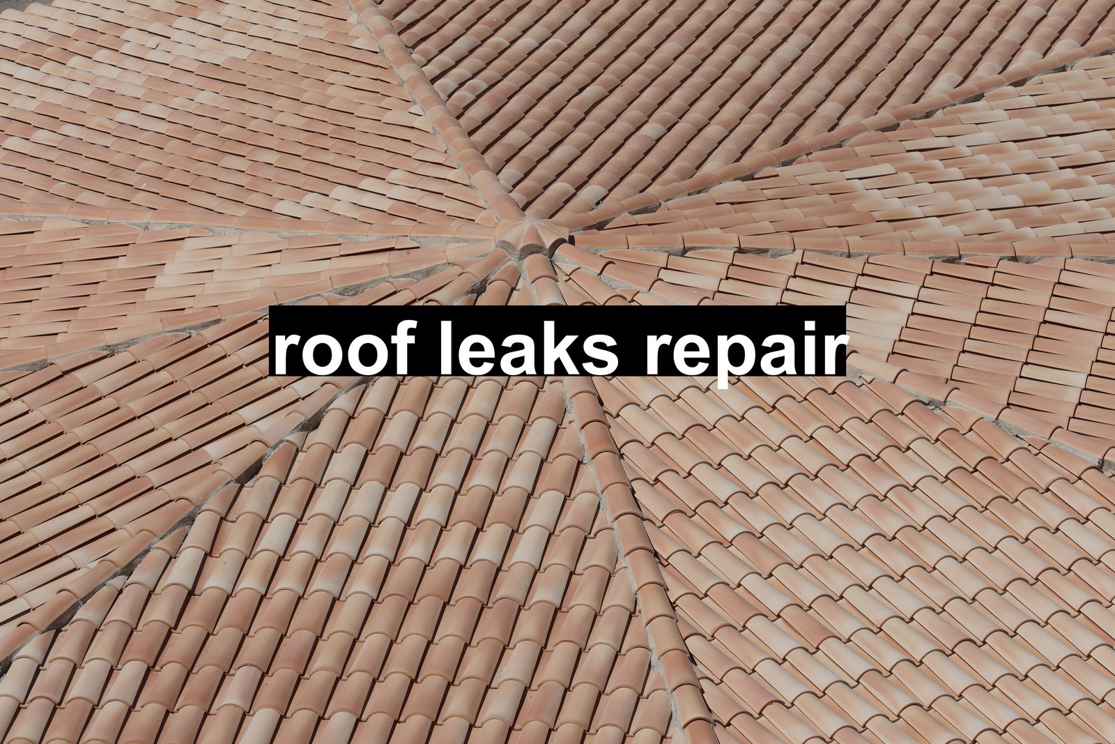 roof leaks repair
