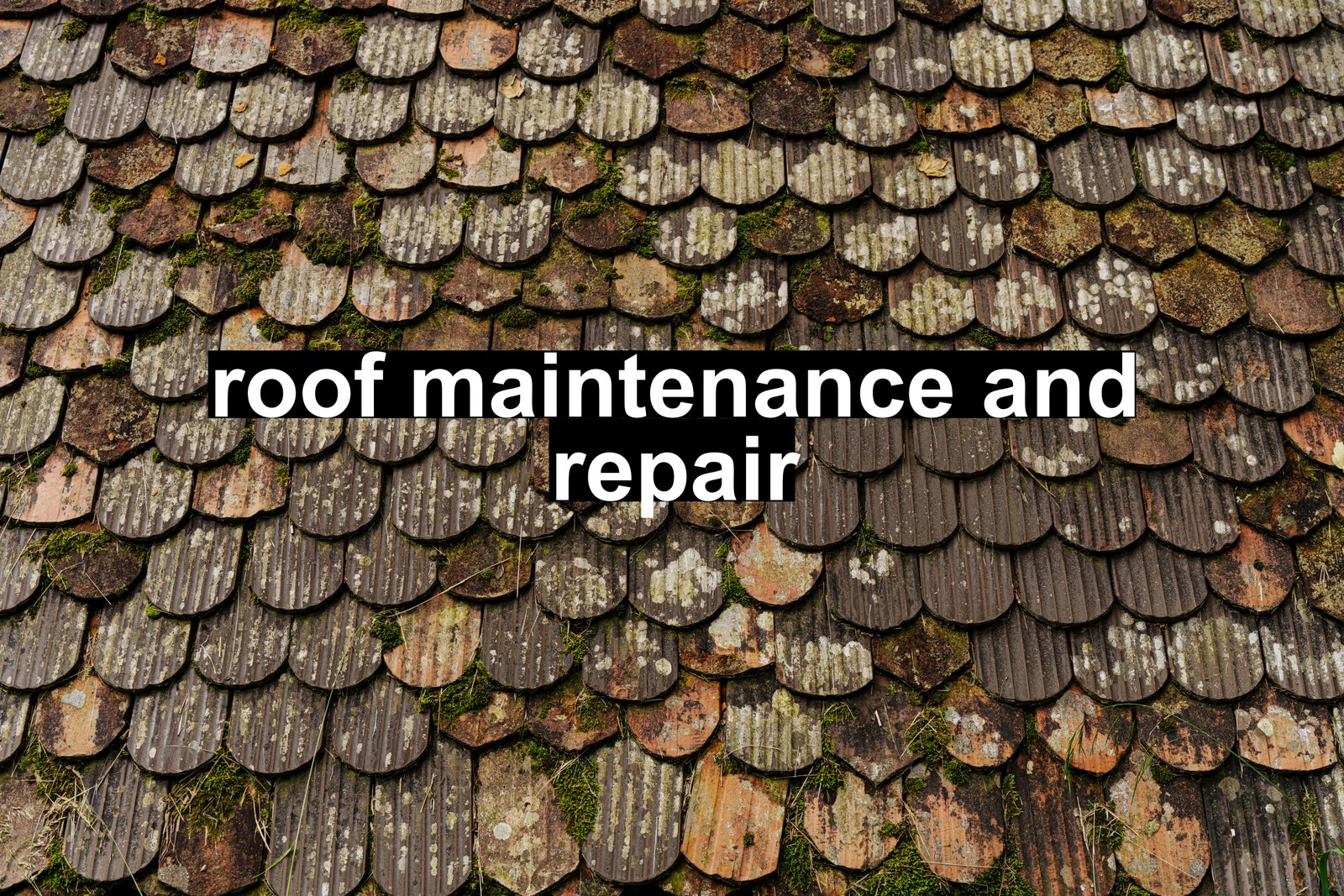 roof maintenance and repair