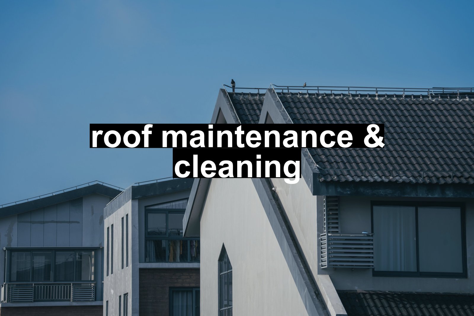 roof maintenance & cleaning