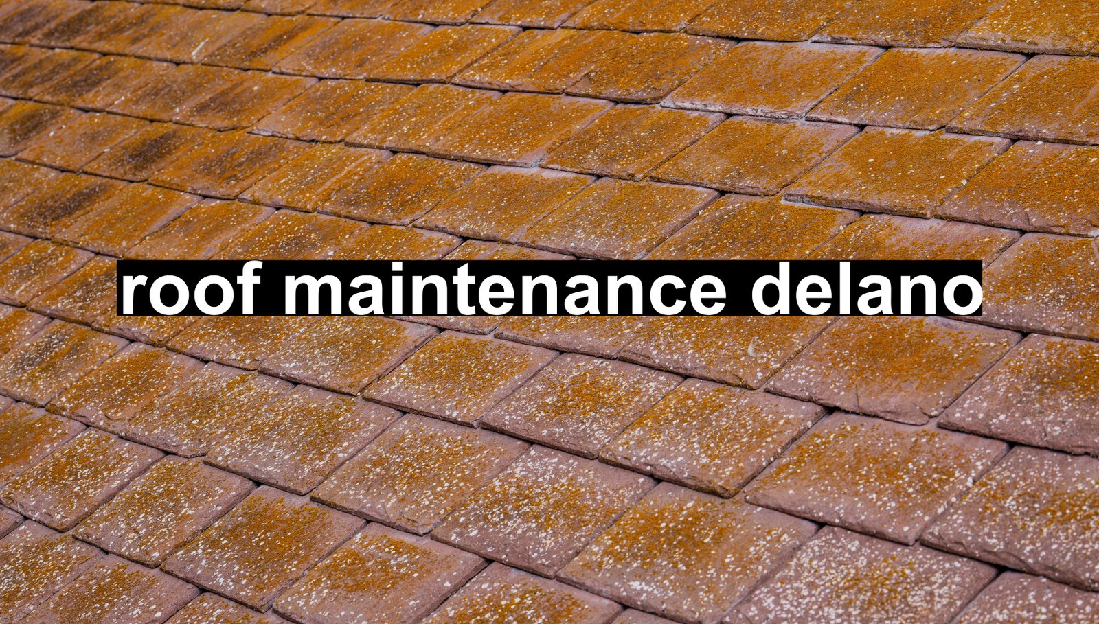 roof maintenance delano