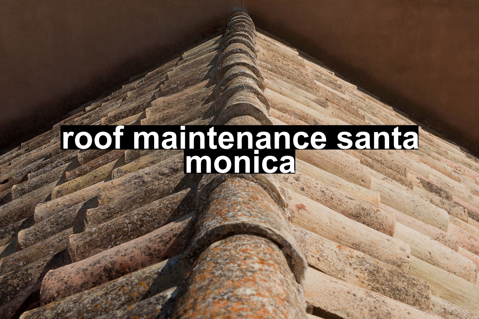 roof maintenance santa monica