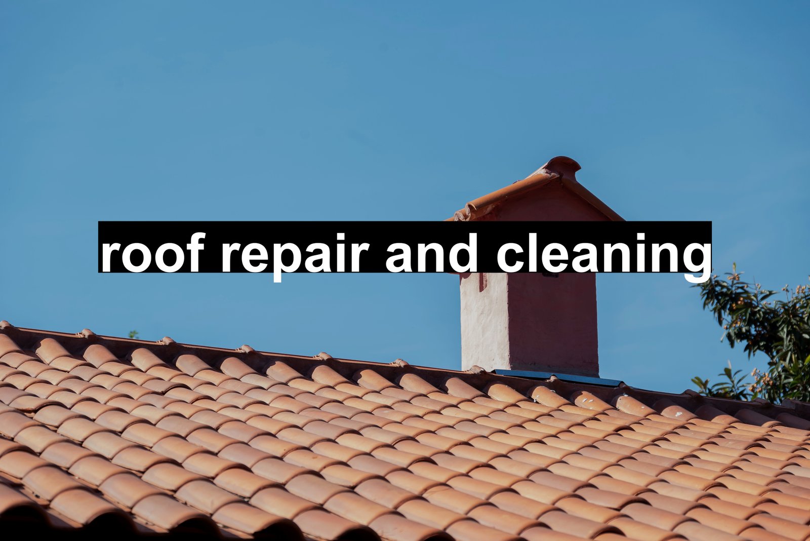 roof repair and cleaning