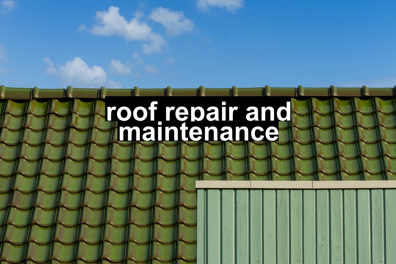 roof repair and maintenance
