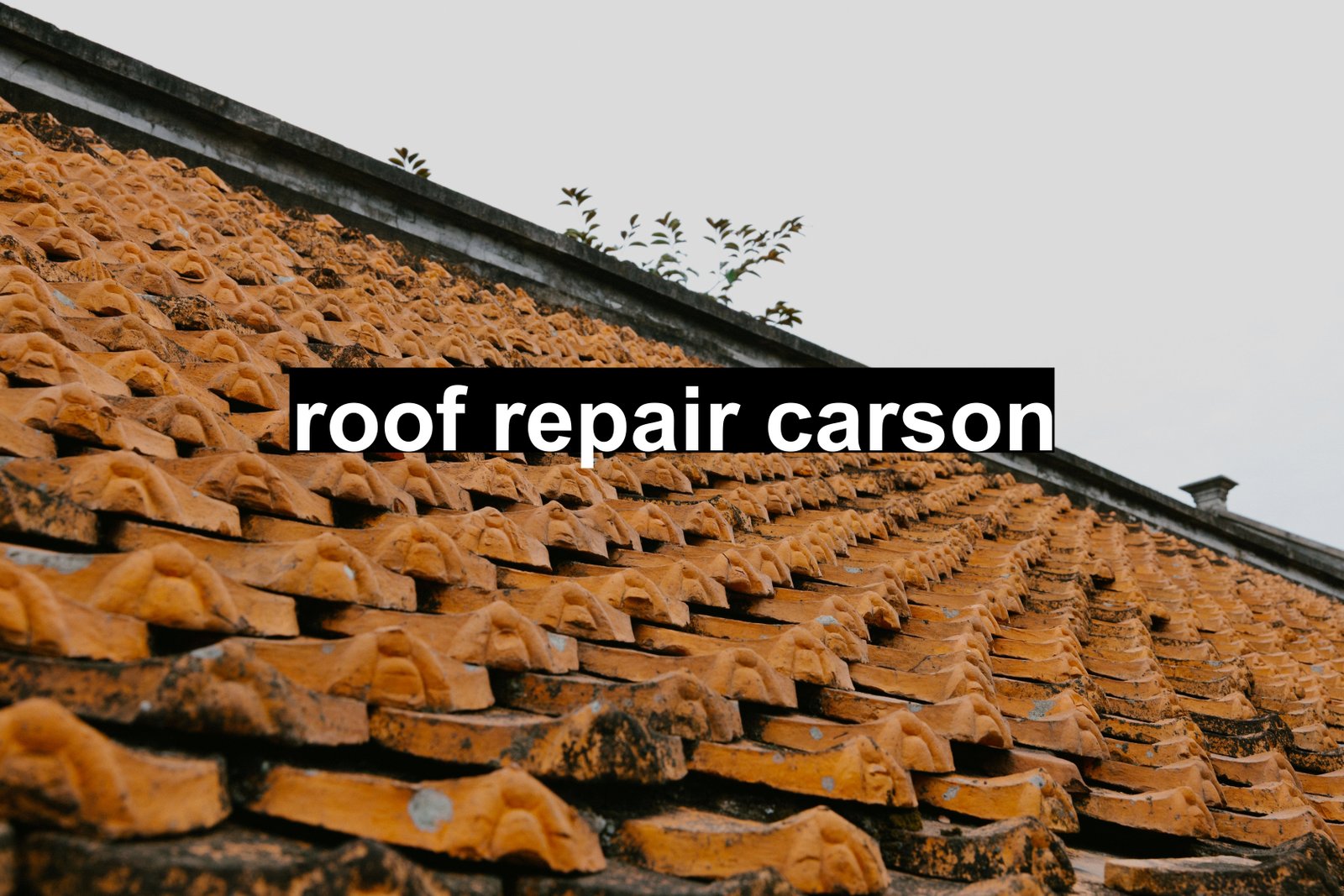 roof repair carson
