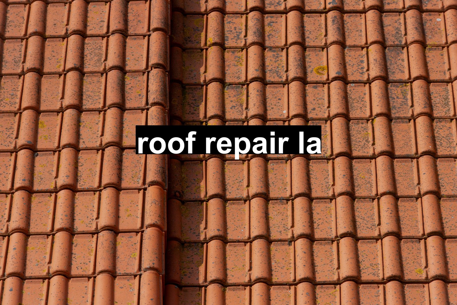 roof repair la