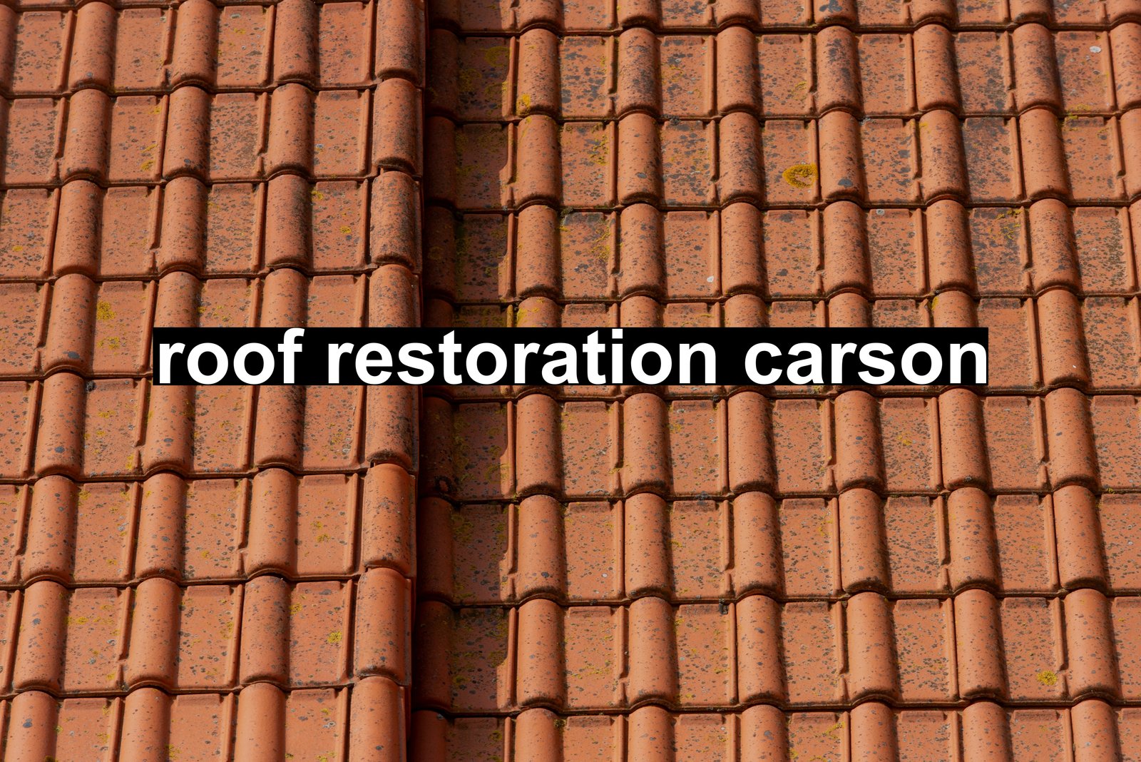roof restoration carson