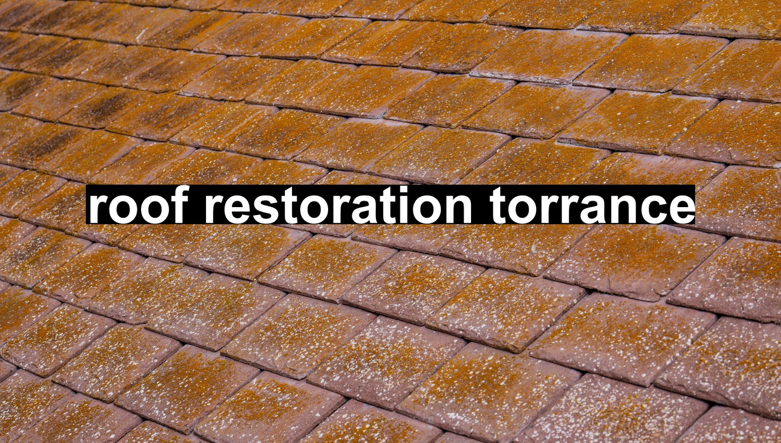 roof restoration torrance