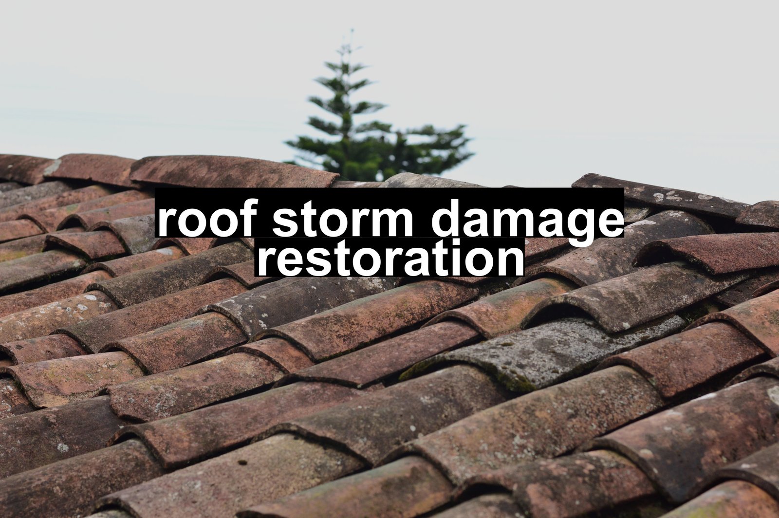 roof storm damage restoration