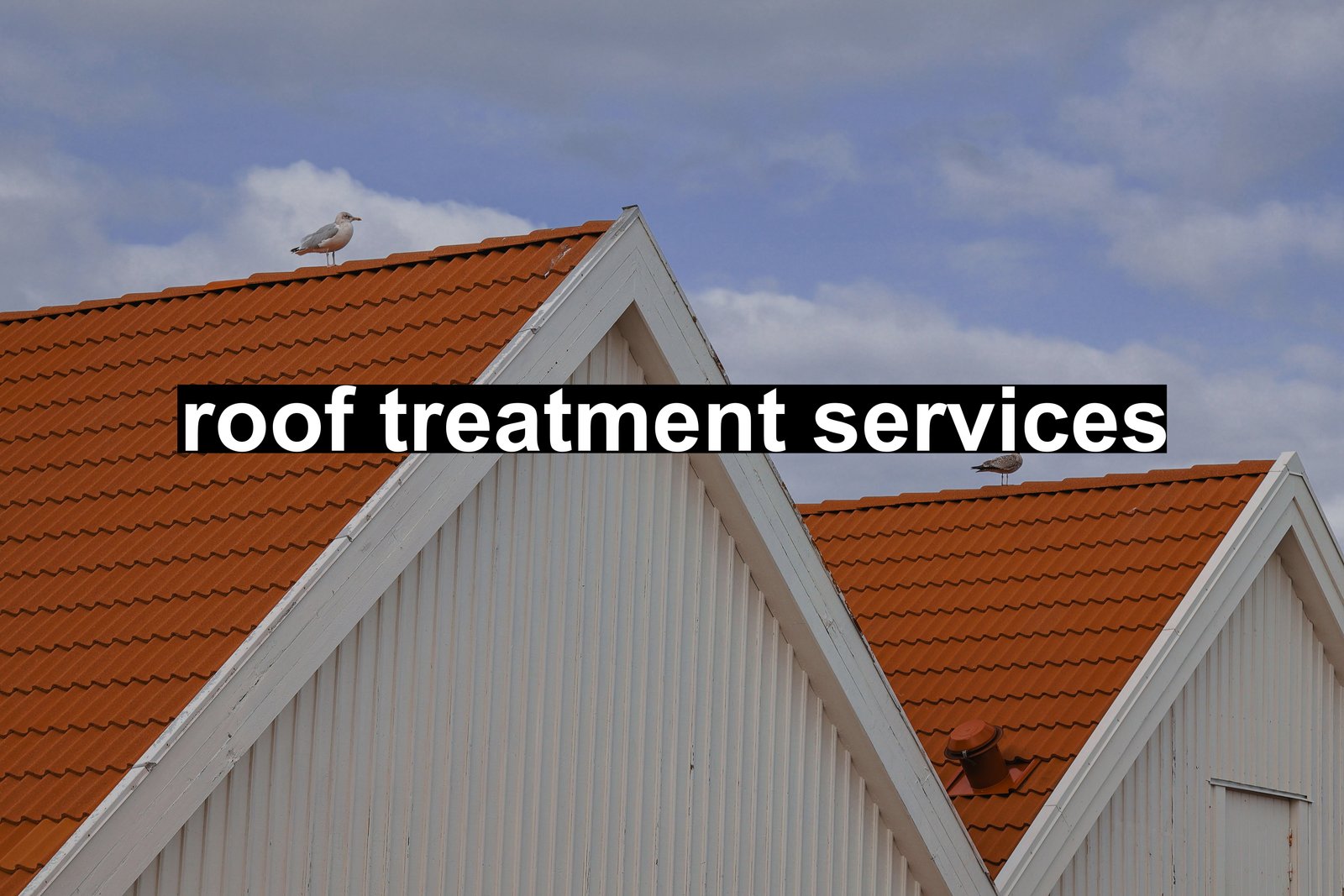 roof treatment services
