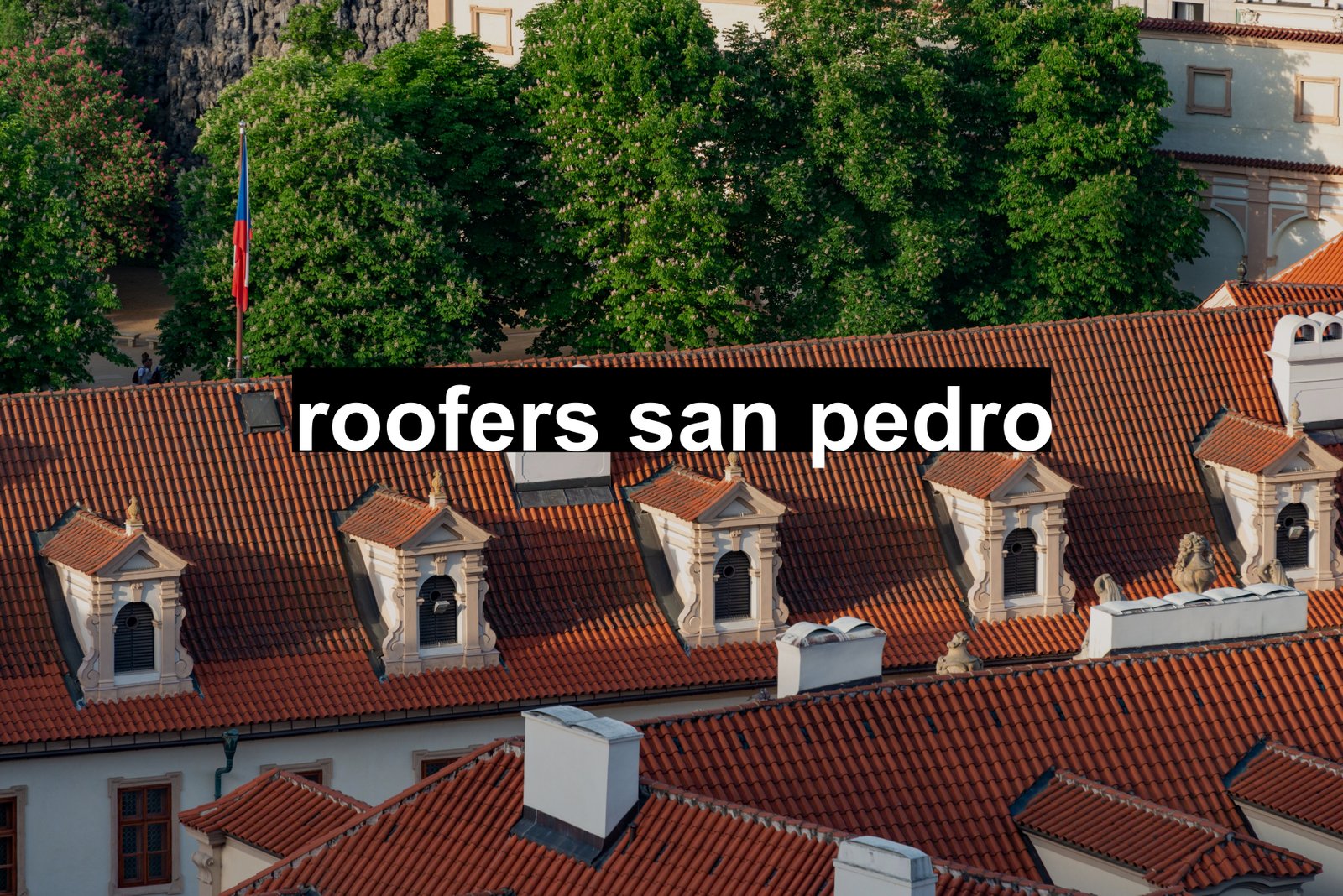 roofers san pedro