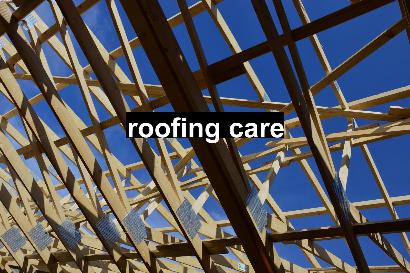 roofing care