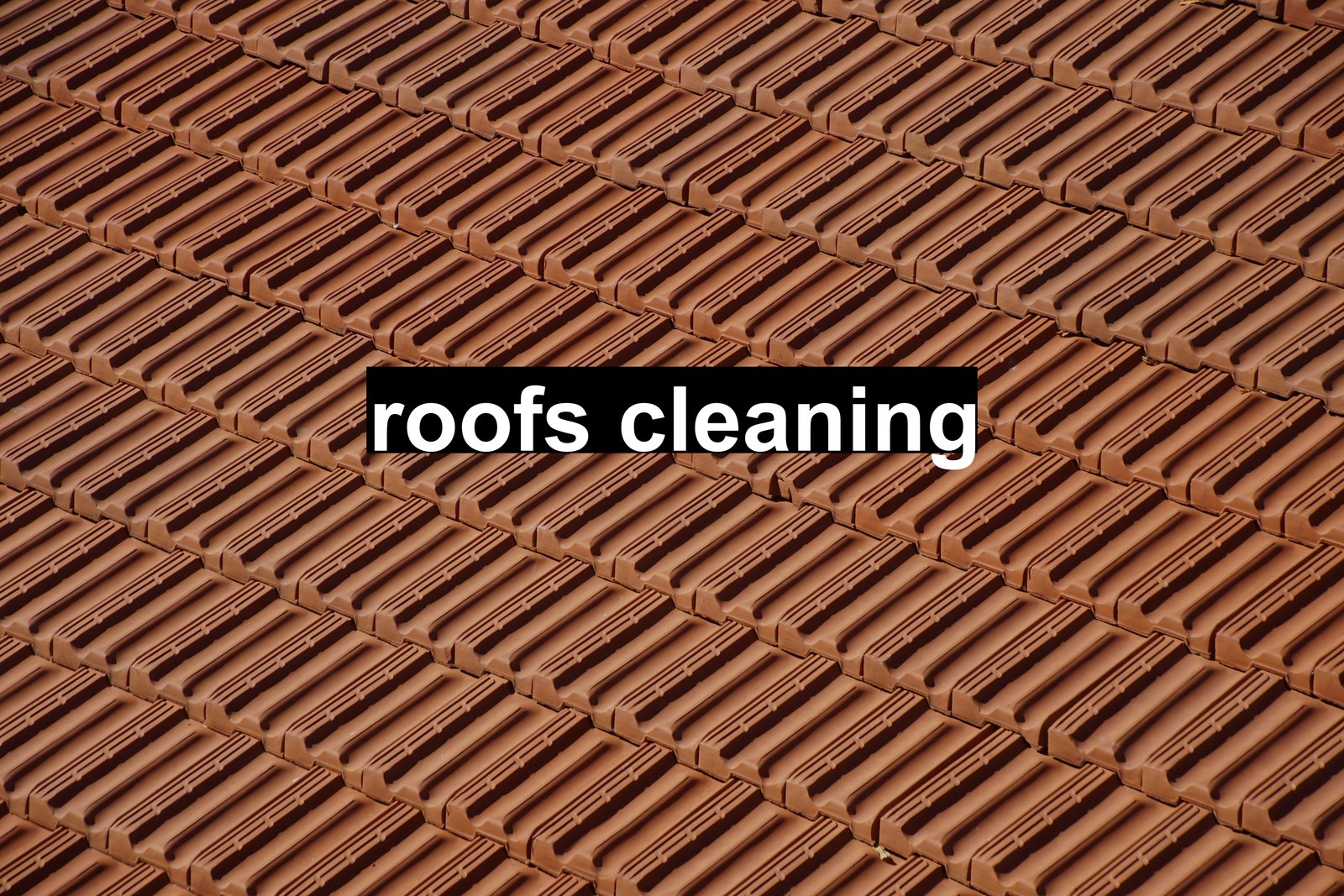 roofs cleaning