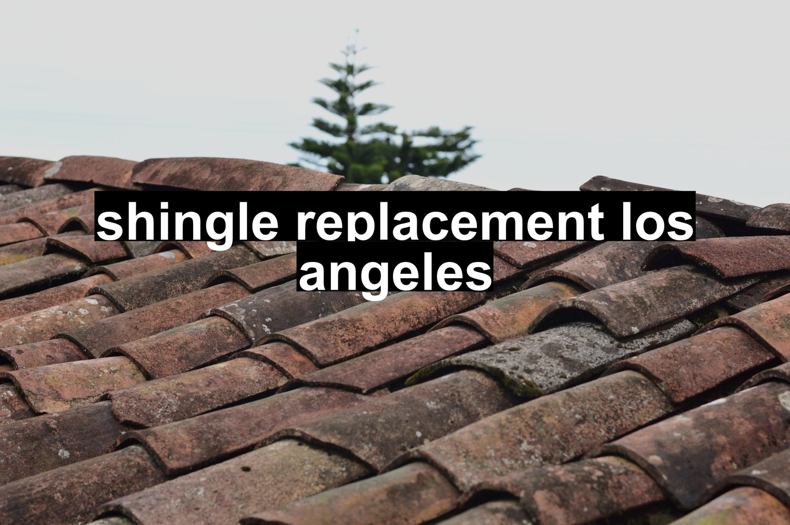 shingle replacement los angeles