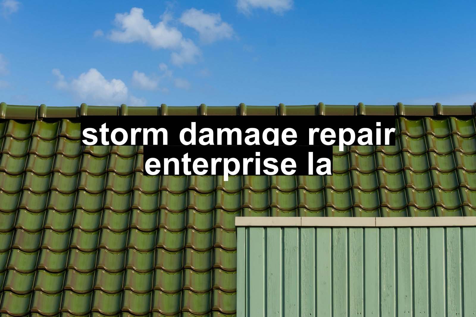 storm damage repair enterprise la