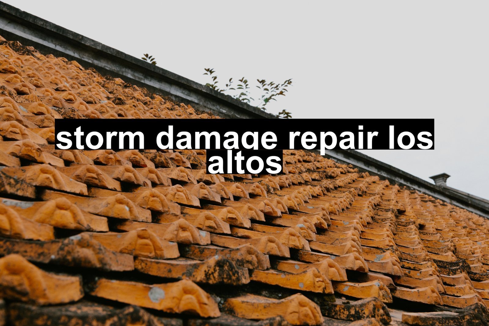 storm damage repair los altos