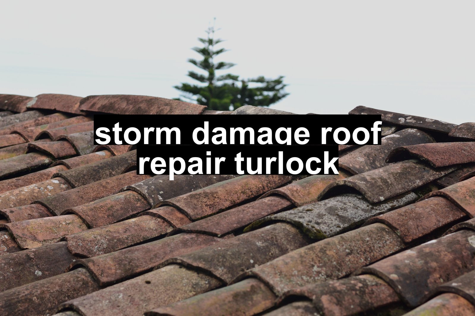 storm damage roof repair turlock
