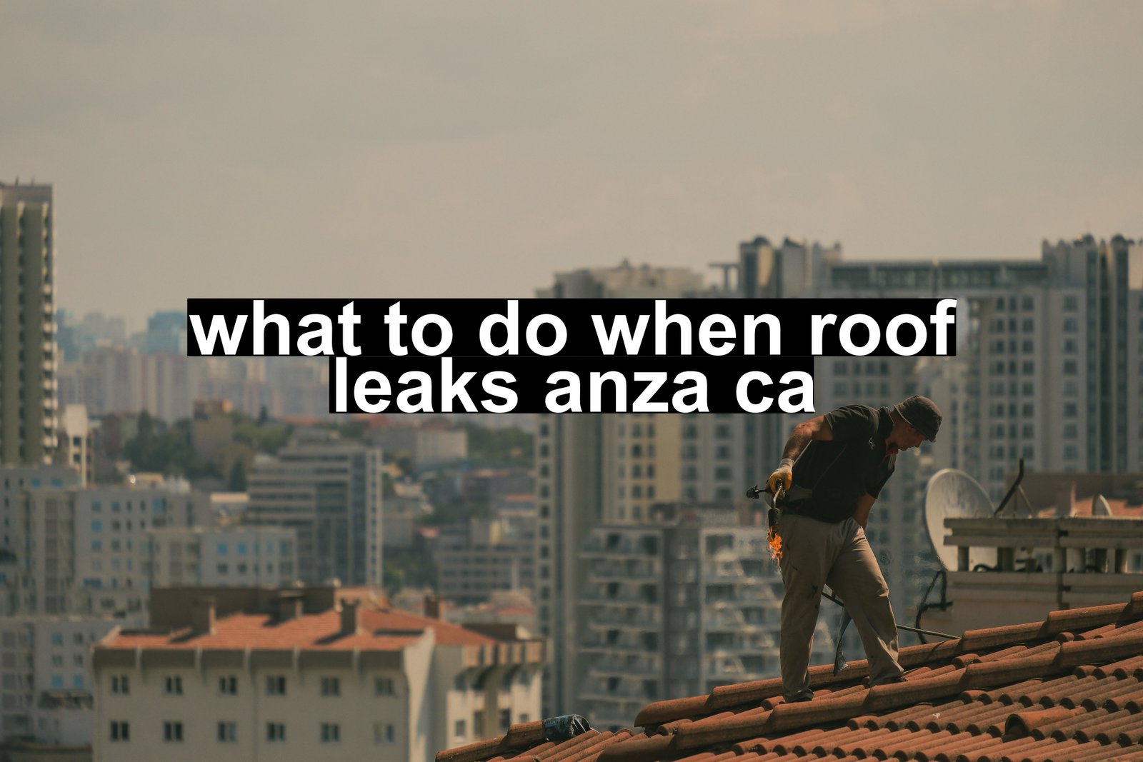 what to do when roof leaks anza ca
