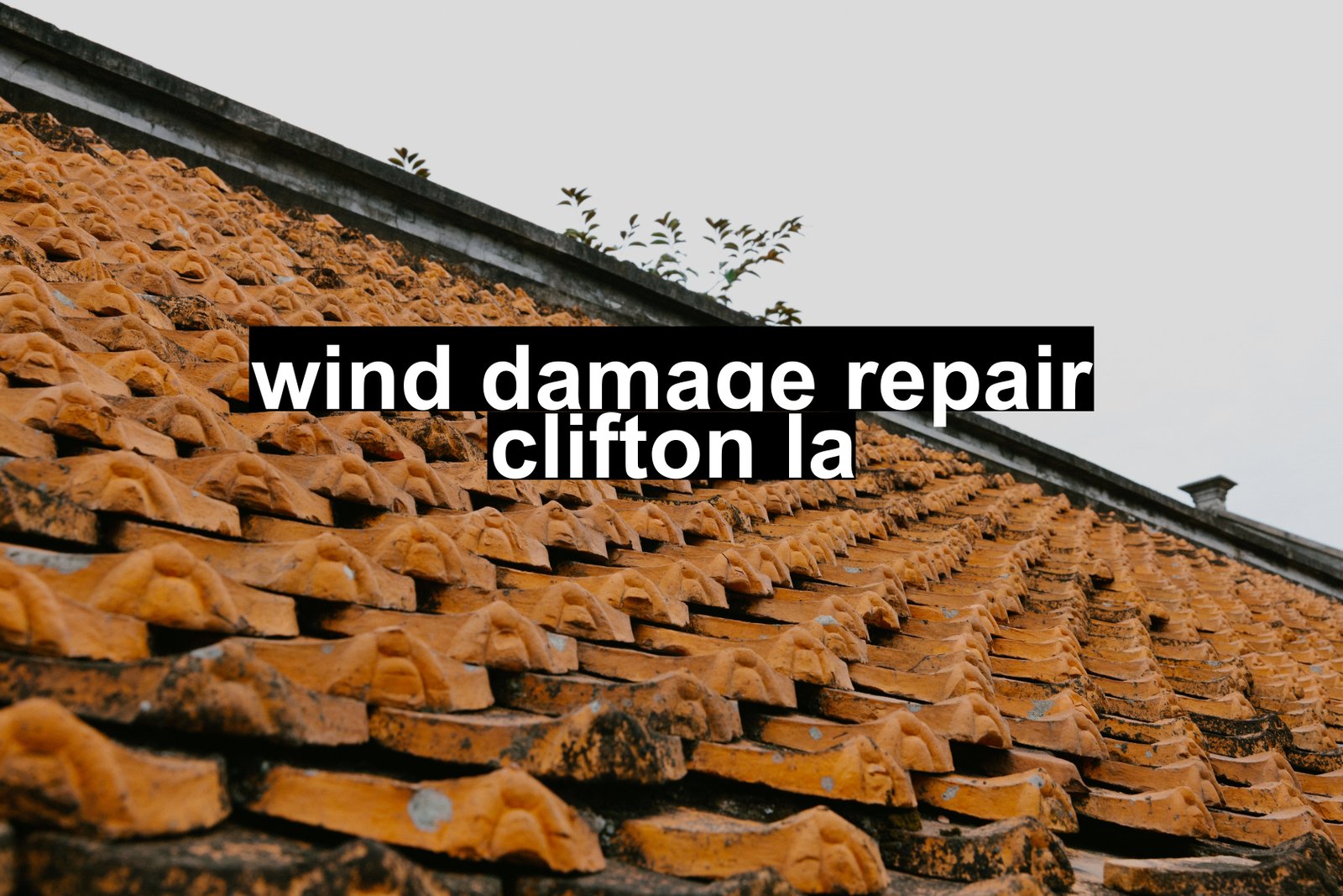wind damage repair clifton la