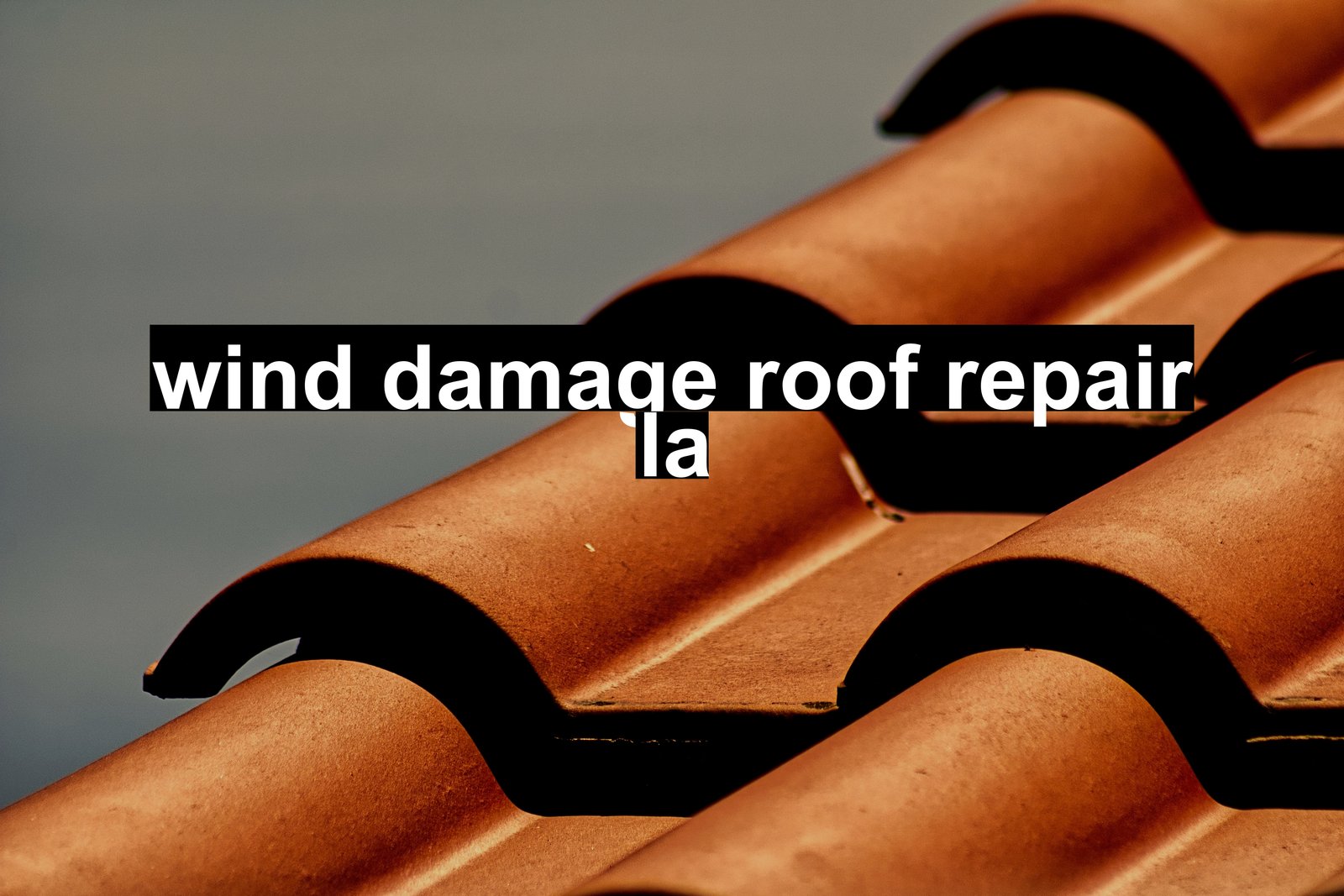 wind damage roof repair la